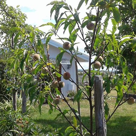 Stuga I Gamla-Koepstad Traslovslage Esterno foto