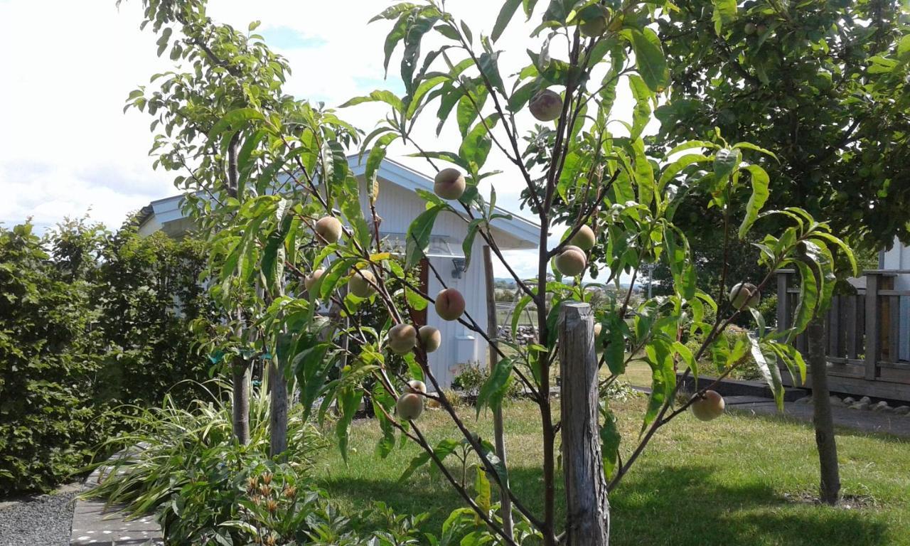 Stuga I Gamla-Koepstad Traslovslage Esterno foto